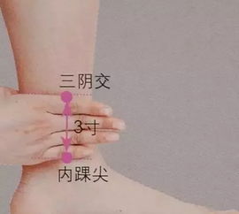艾灸美容 古老养颜术的实现路径与科学机理